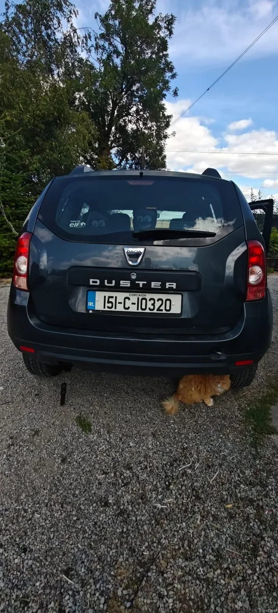 Dacia duster - Image 2