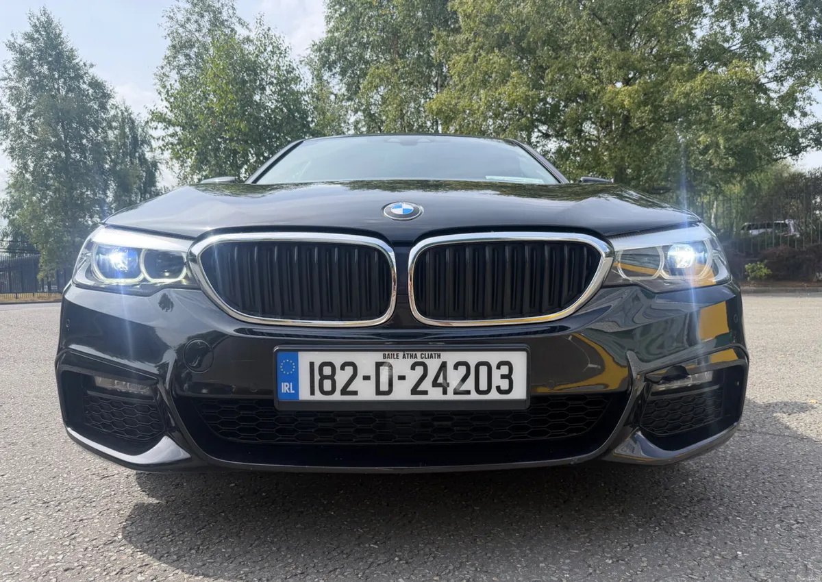 BMW 530E MSPORT Plug In Hybrid - Image 2