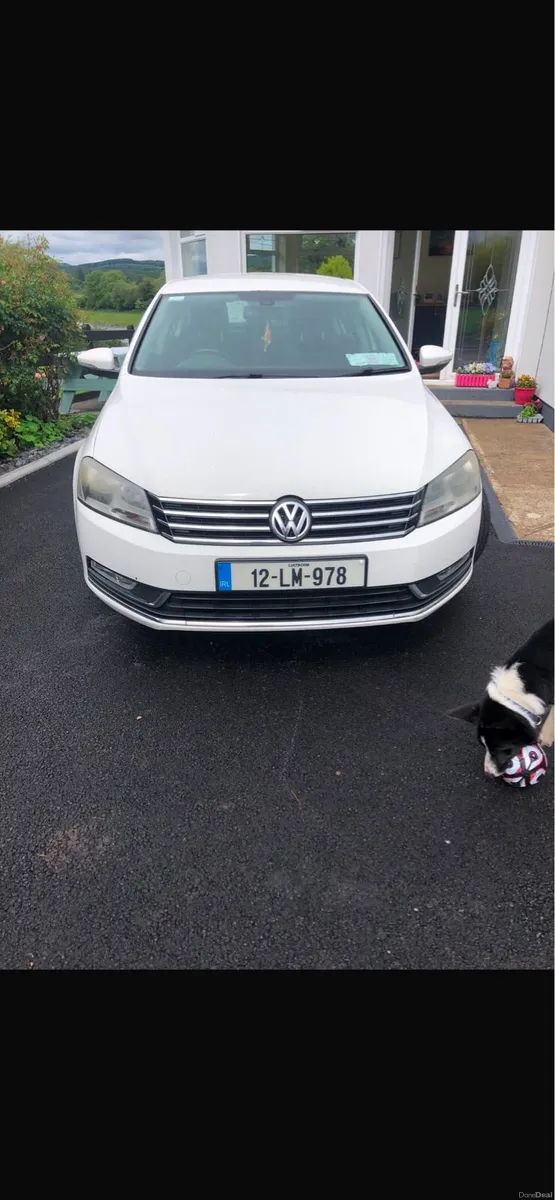 Passat - Image 3