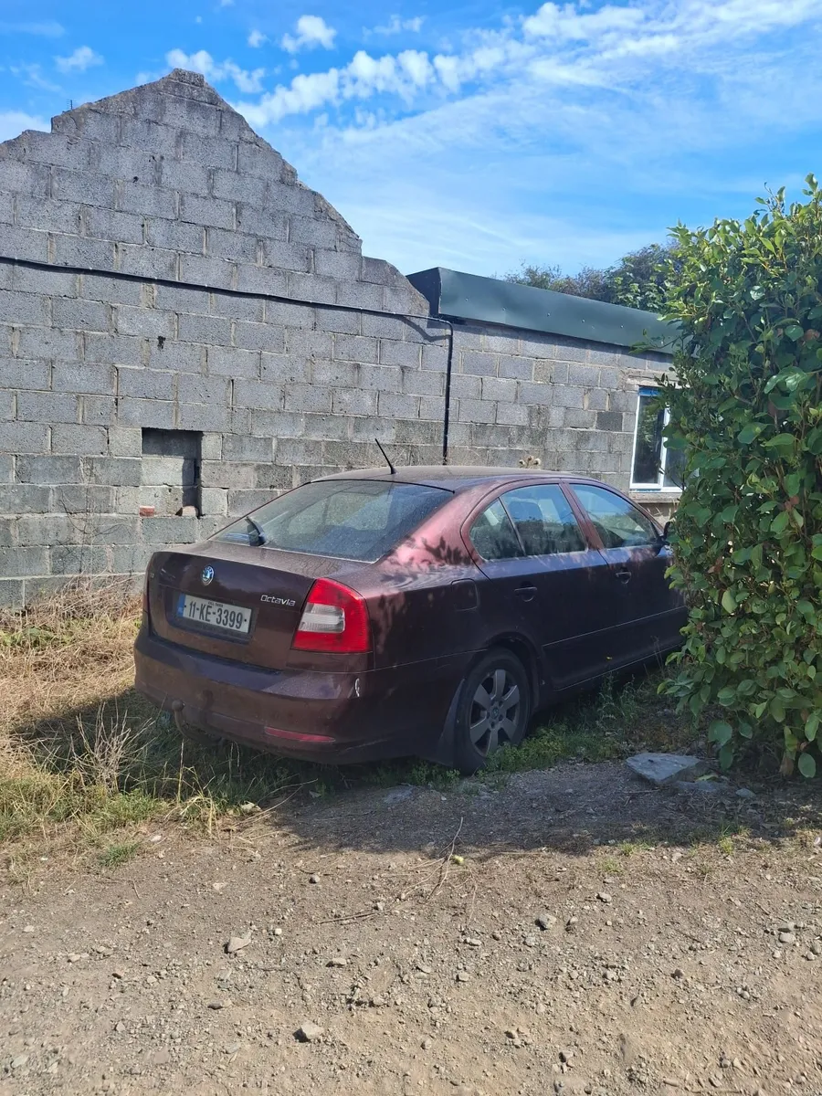 Skoda Octavia 2011 - Image 2