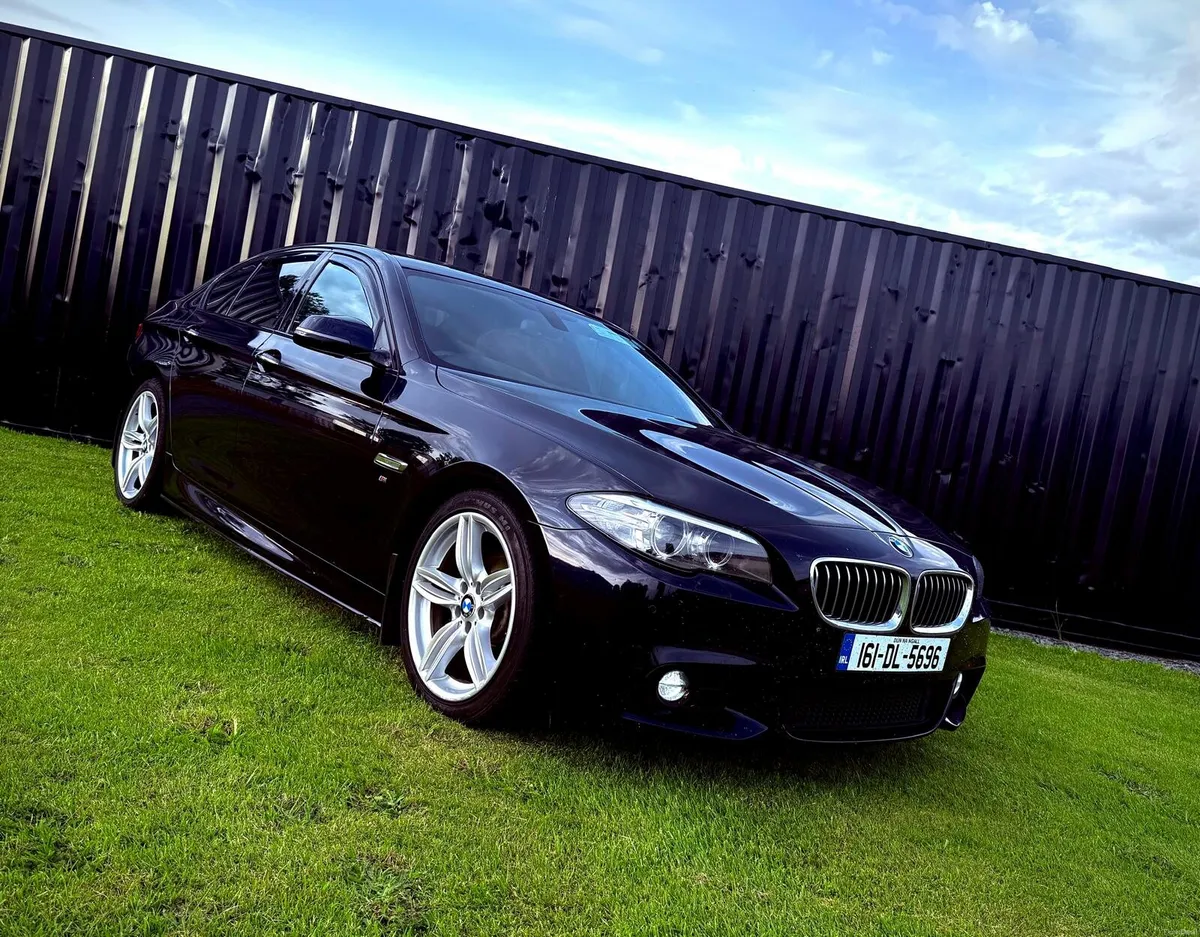 520d M Sport Nice Spec Low Miles - Image 1