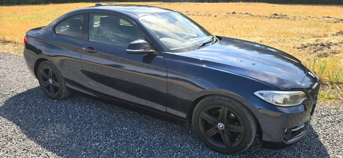 2016 BMW 218i Coupe 1.5l. Automatic - Image 4