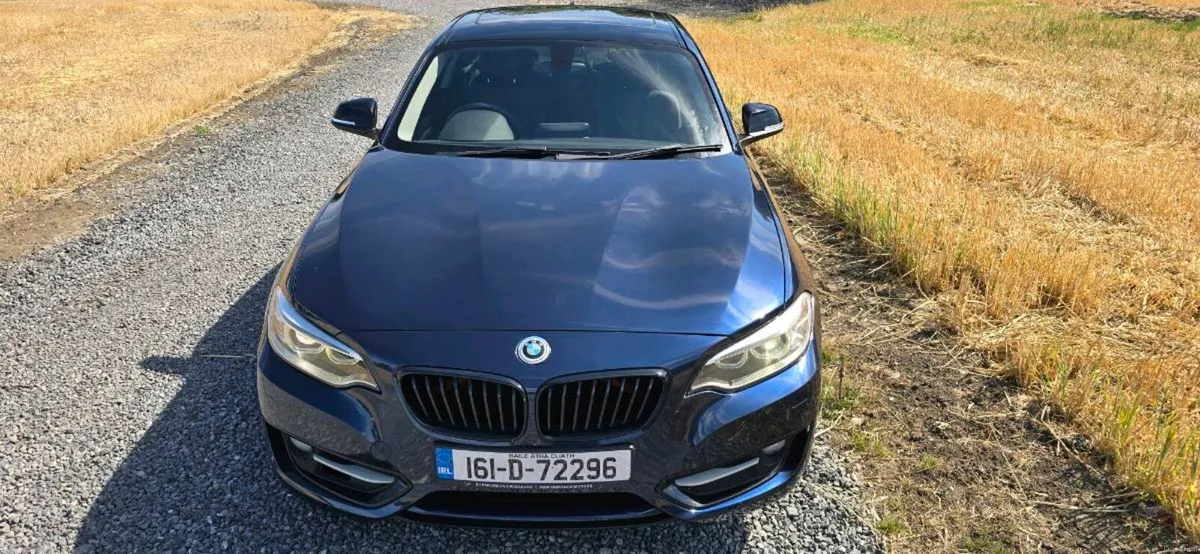 2016 BMW 218i Coupe 1.5l. Automatic - Image 2