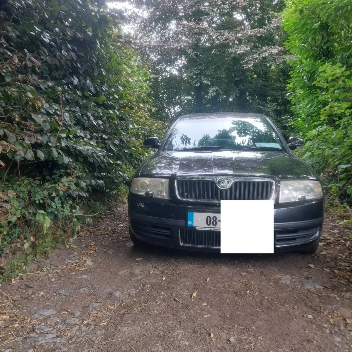 Skoda superb 1.9tdi - Image 1
