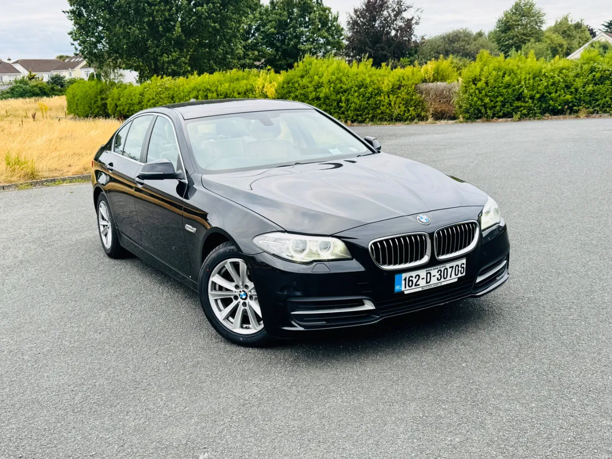 BMW 520d 2L DIESEL 1 OWNER FROM NEW FULL S/HISTORY - Image 3