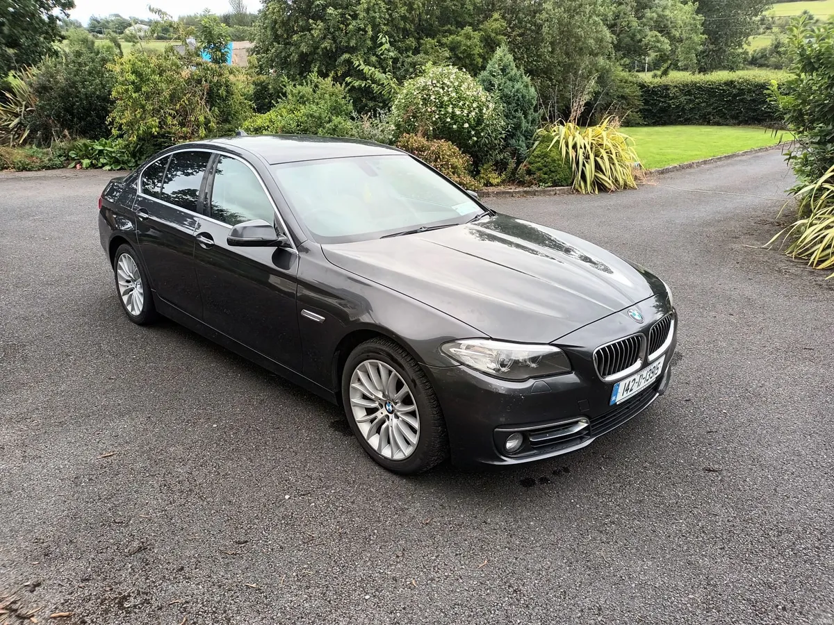 BMW 5-Series Luxury 2014 (142) - Image 4