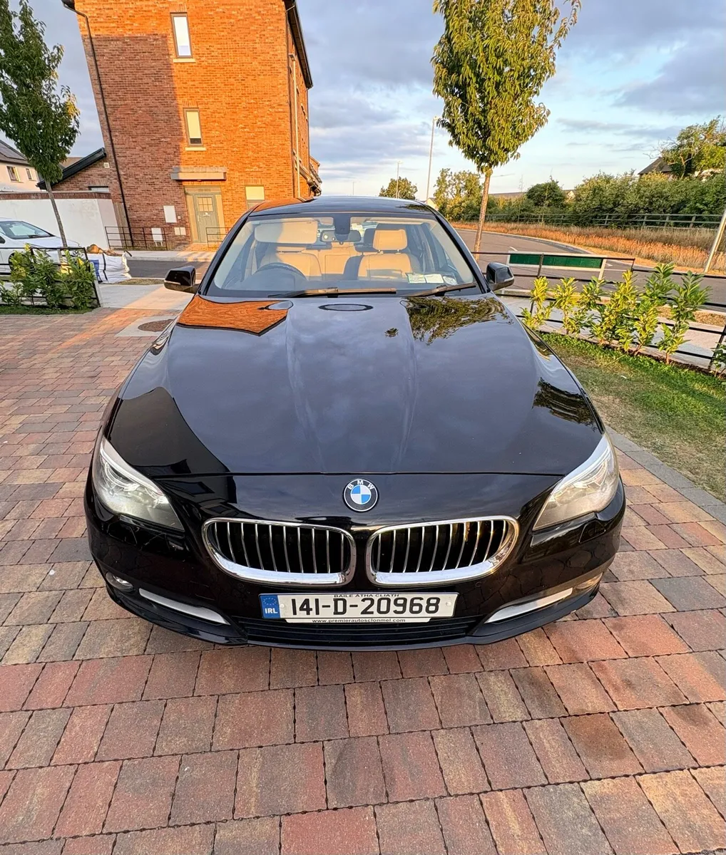 BMW 520d 2.0L Turbo Diesel - Image 4