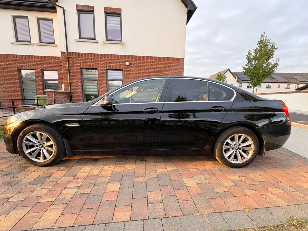 BMW 520d 2.0L Turbo Diesel - Image 6