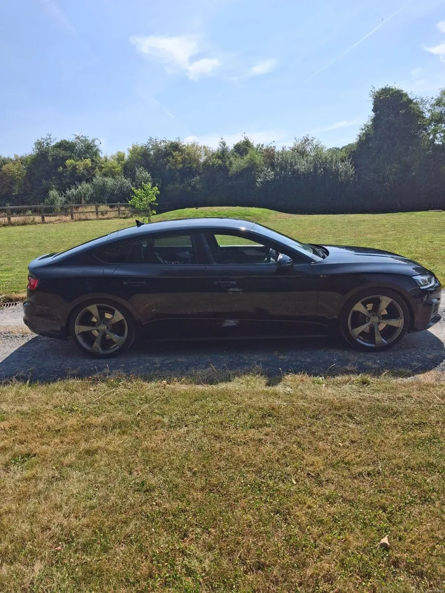 Image 2 of 15
