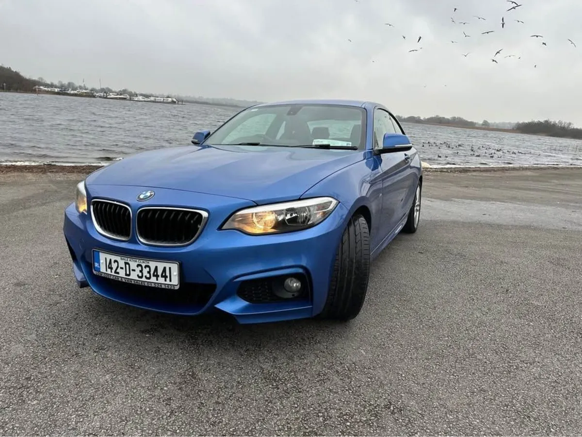 BMW 220i 300HP - Image 1