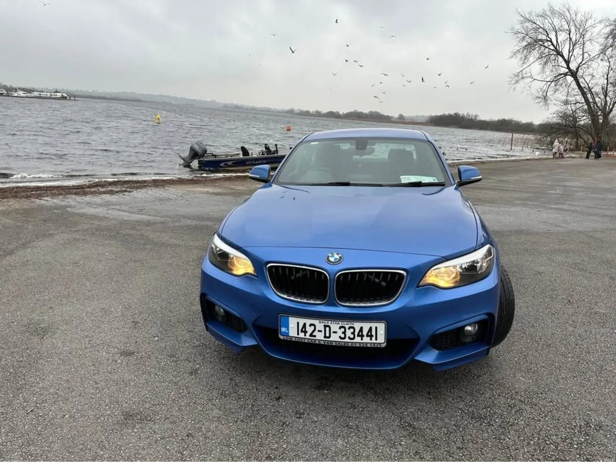 BMW 220i 300HP - Image 2