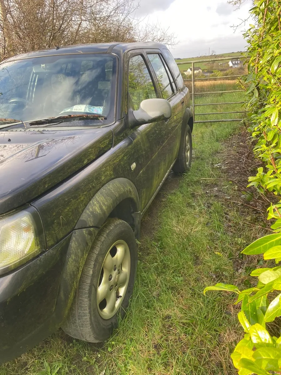 Land Rover Freelander 2005 - Image 2