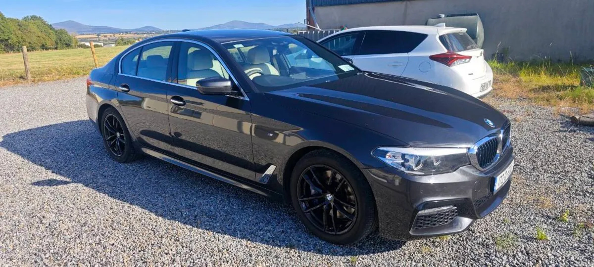 Bmw 530d msport - Image 1