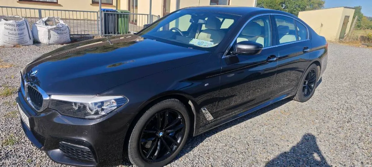 Bmw 530d msport - Image 5