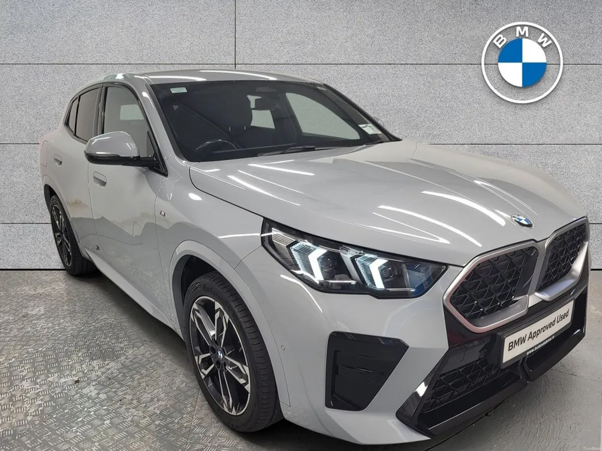 BMW X2 sDrive20i M Sport Auto - Image 1