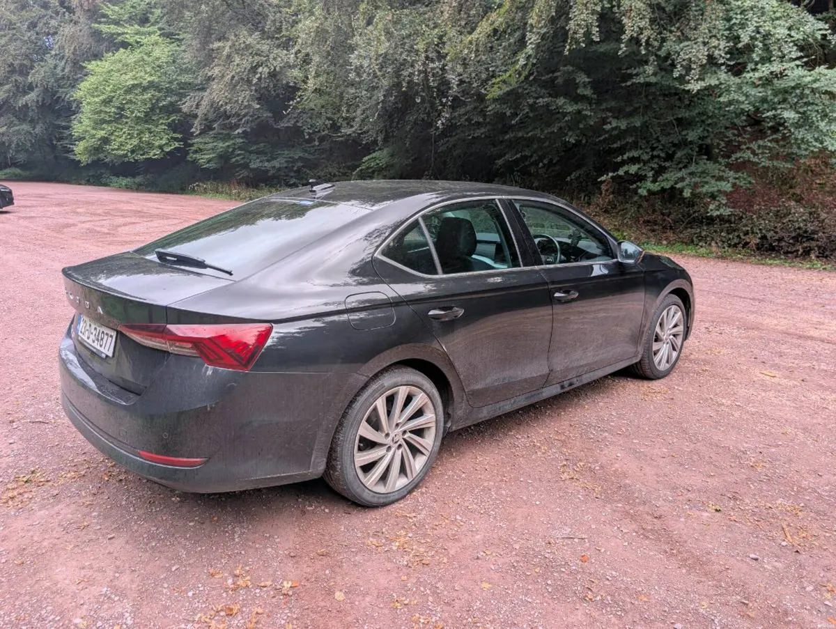 2023 Skoda Octavia 30 Years Edition | 2.0 TDI 115H - Image 3