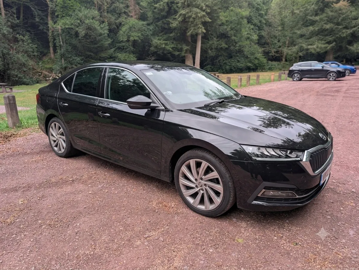 2023 Skoda Octavia 30 Years Edition | 2.0 TDI 115H - Image 1