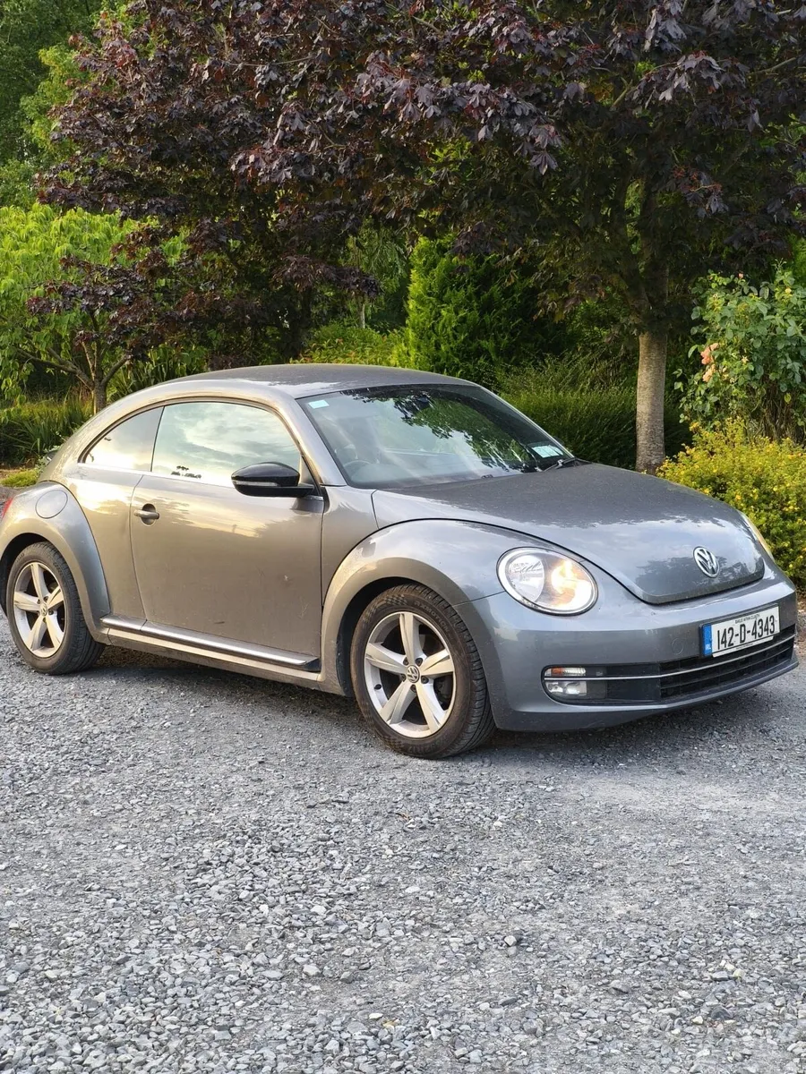 Volkswagen Beetle - Image 1