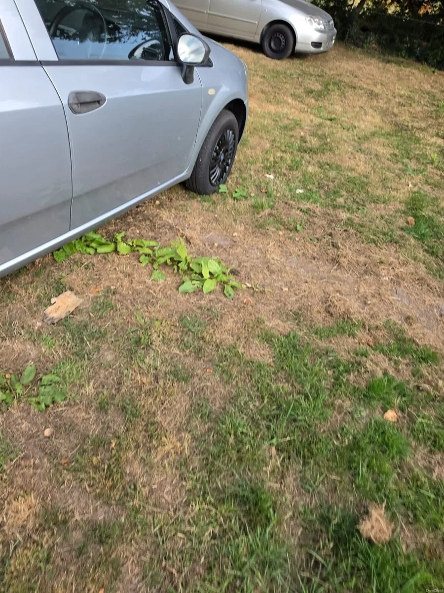 Fiat Punto 2007 - Image 6