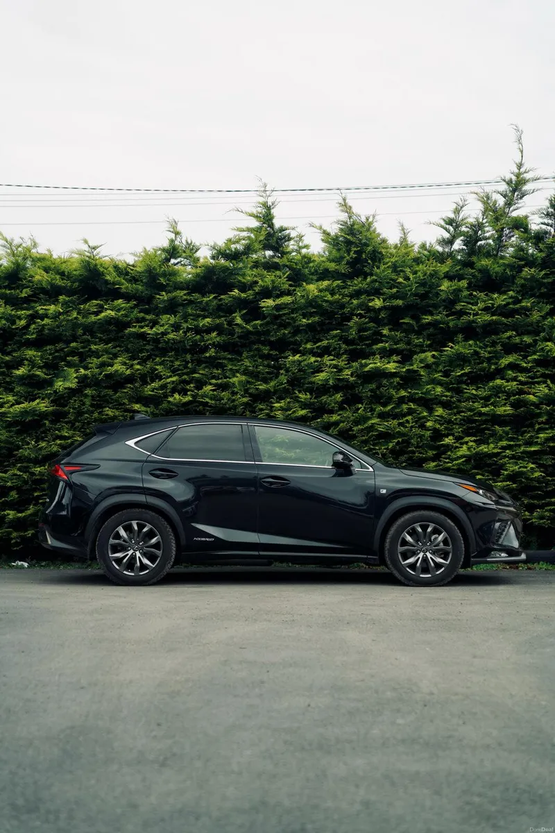Lexus NX300H F Sport-Full History - Image 5