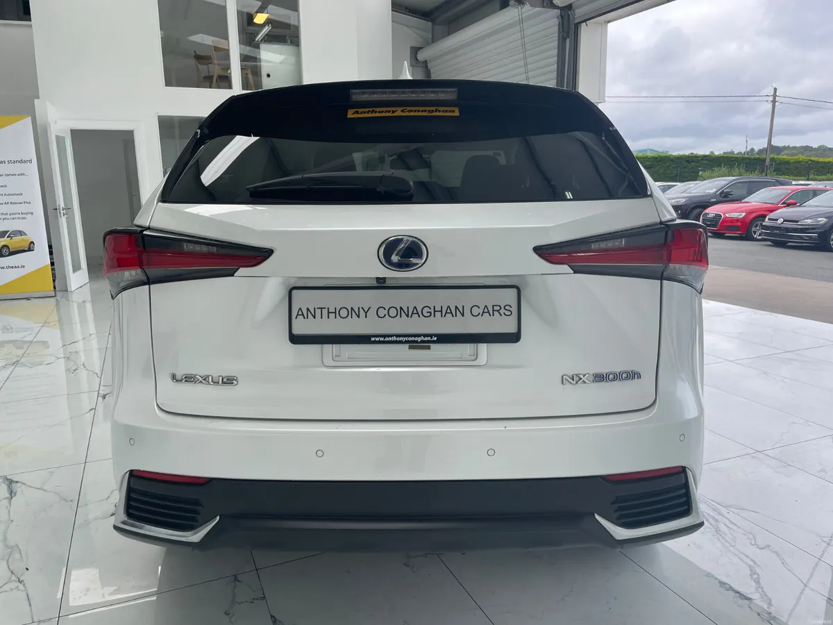 2019 Lexus NX300h - Image 5