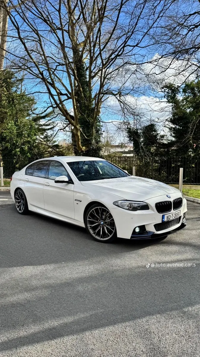 Bmw 520d m sport 162 - Image 5
