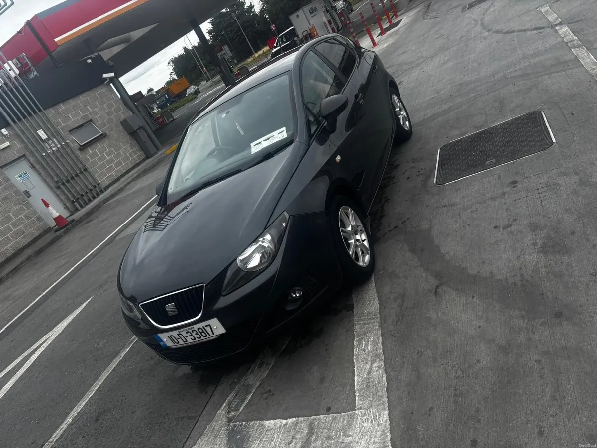SEAT Ibiza 2010 - Image 3