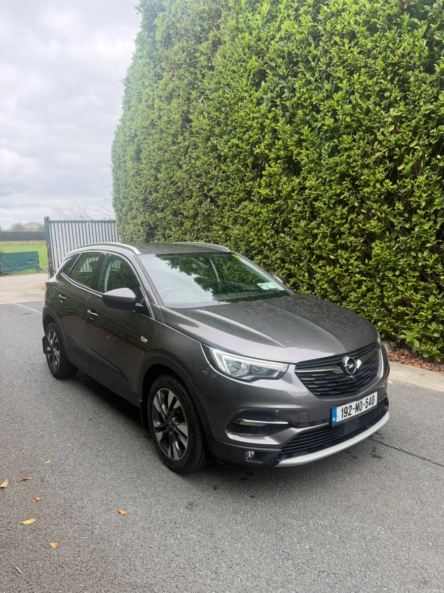 2019 Opel Grandland X SRI 1.2 - Image 5