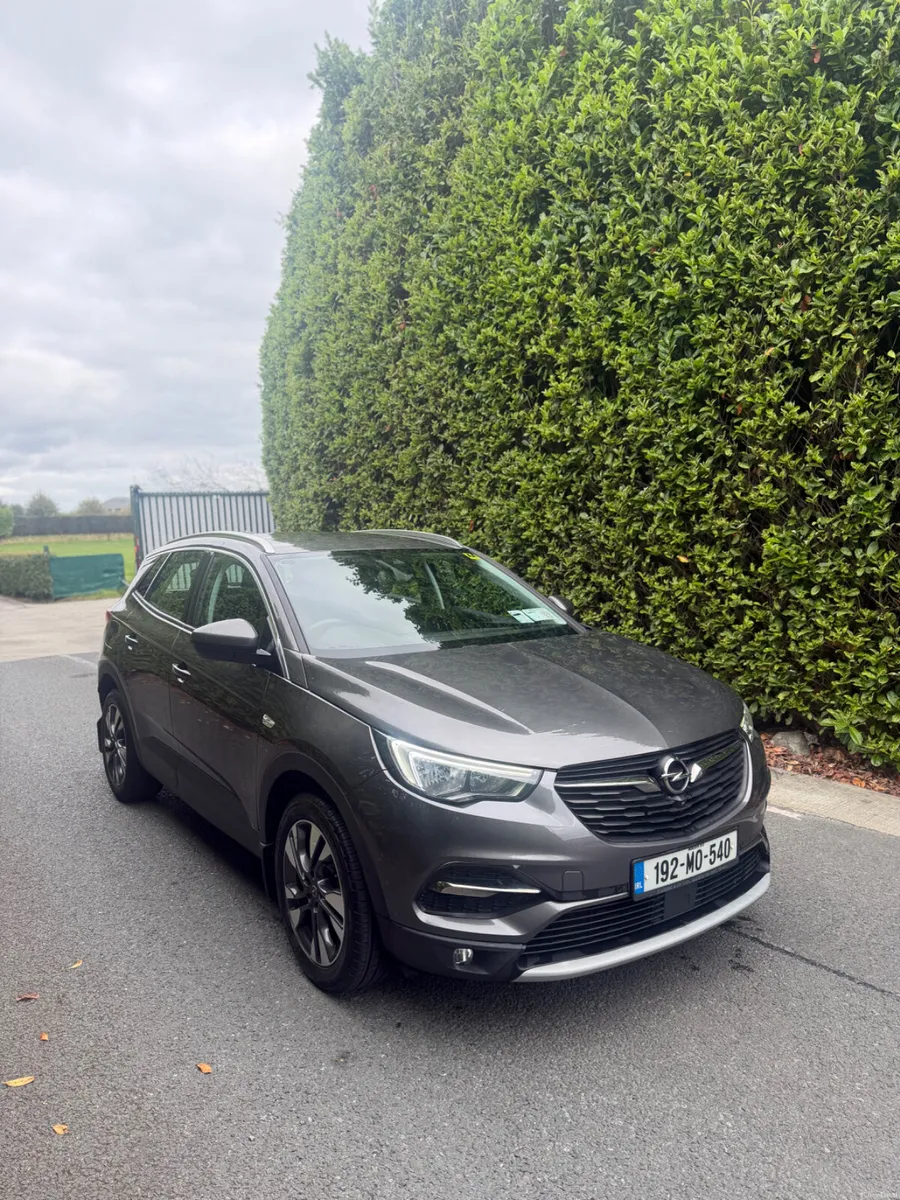 2019 Opel Grandland X SRI 1.2 - Image 1