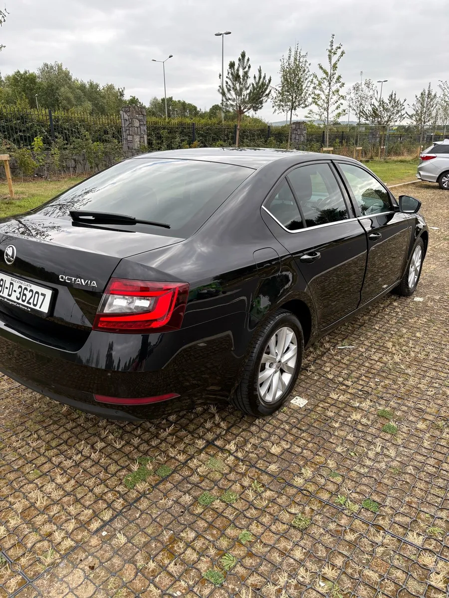 2019 Skoda Octavia DSG Auto | Low KM | NCT 2027 - Image 6