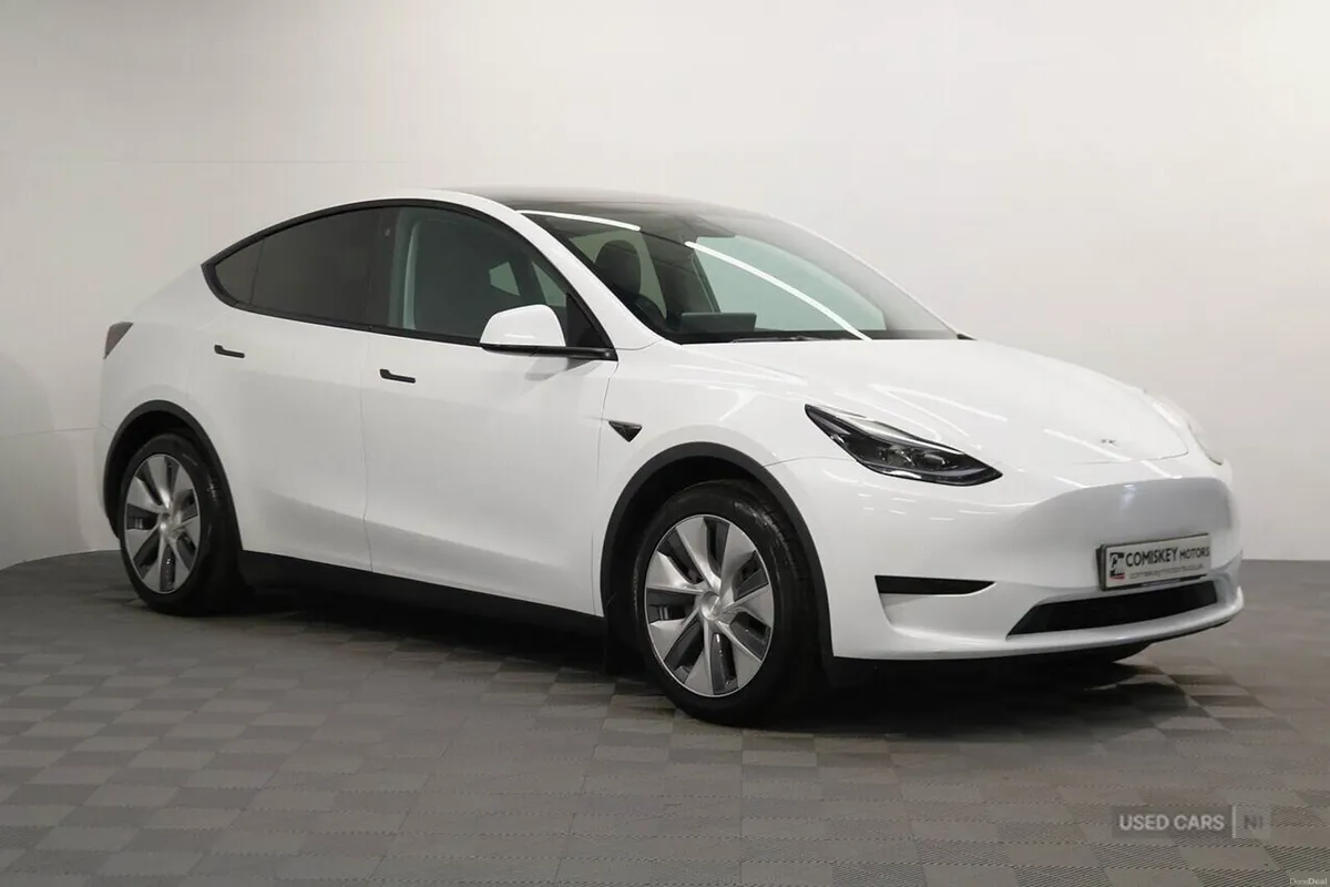Tesla Model Y - Image 1