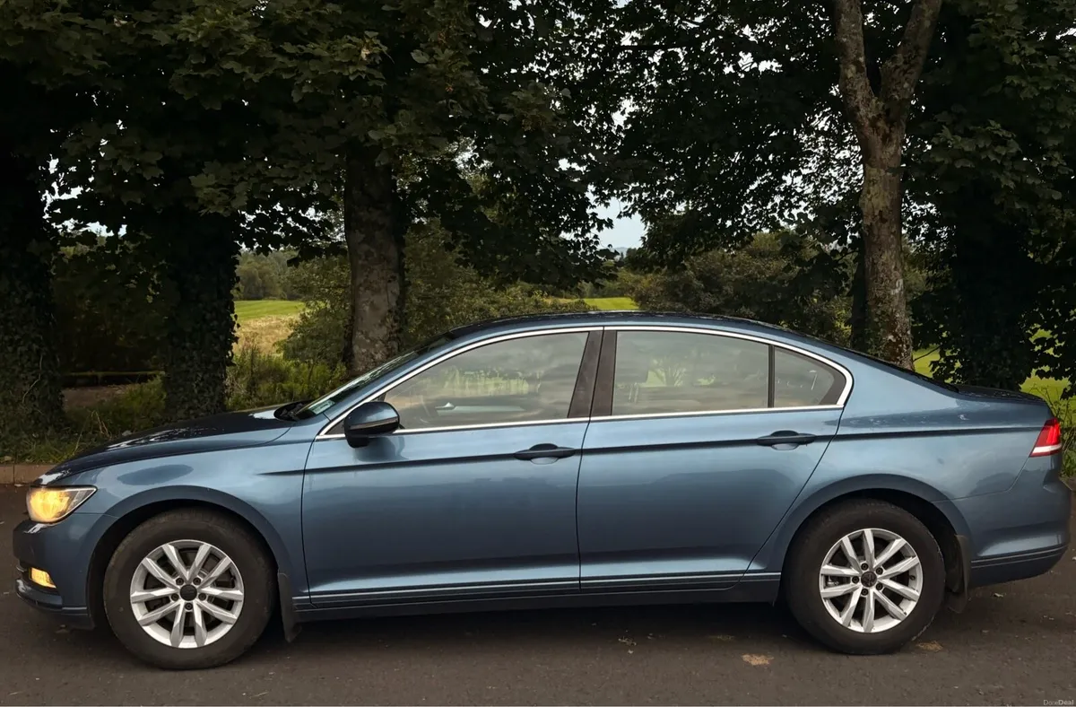 Passat - Image 4