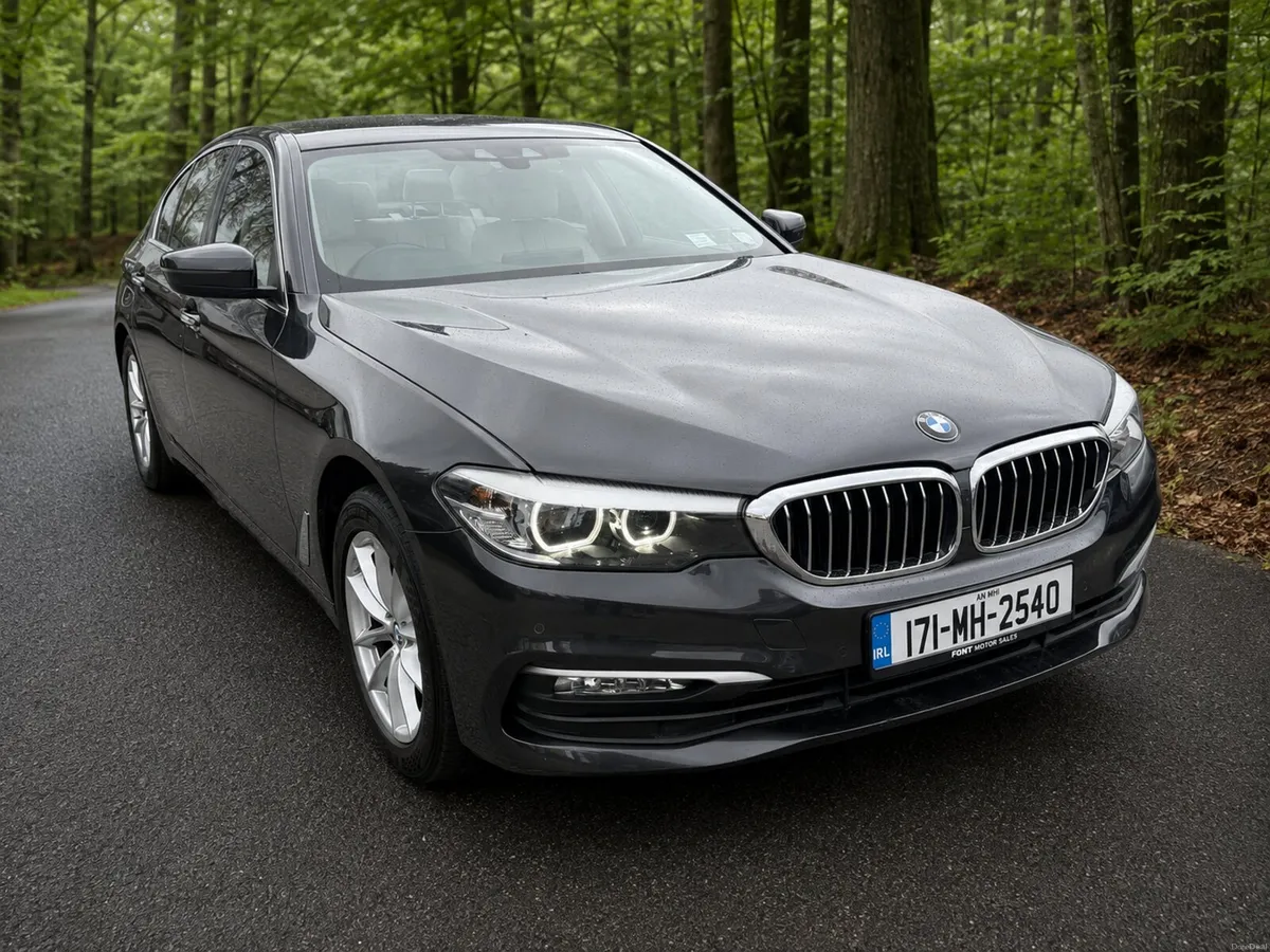 171 BMW 520D SE AUTO - CREAM  LEATHER - - Image 6