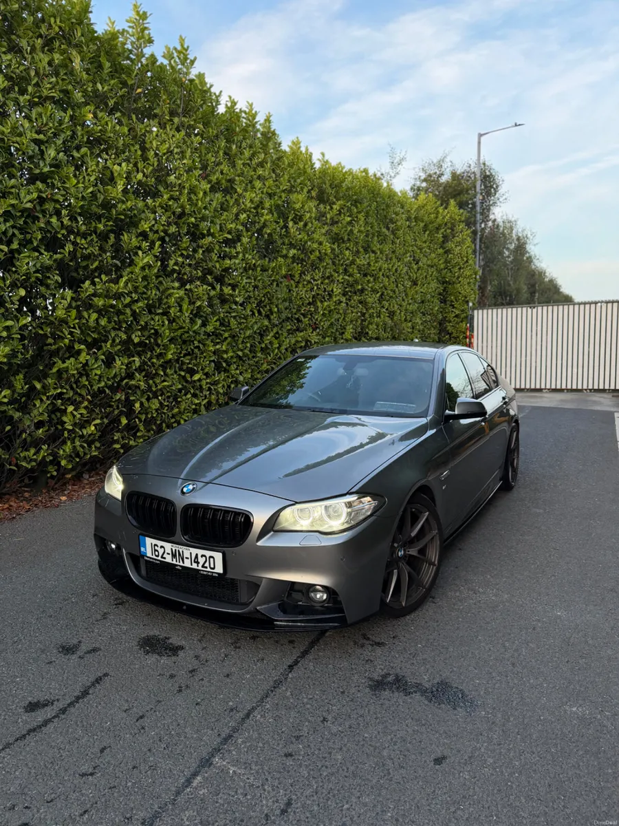 2016 BMW 5 SERIES M SPORT AUTO - Image 3