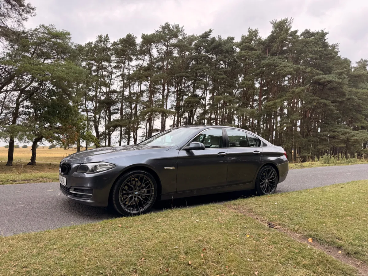 BMW 5-Series 2016 Diesel Automatic - Image 3