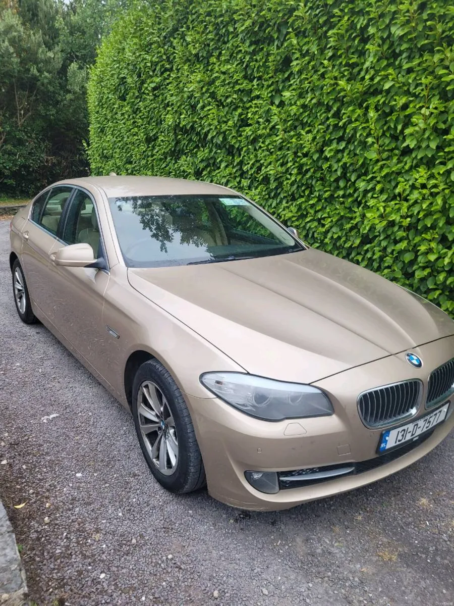 2013 (131-D) BMW 520d SE 6-Speed Manual Gold - Image 1