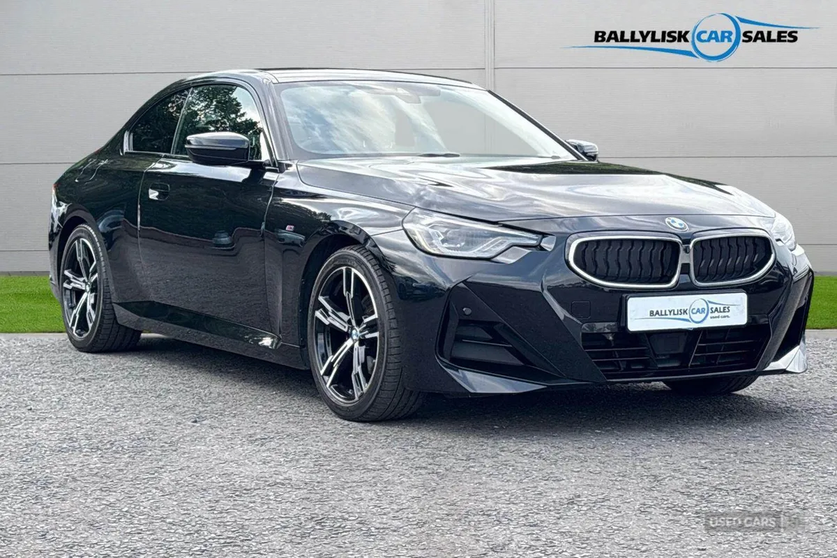 BMW 2-Series 2.0 220i 18PS M Sport Coupe 2dr in Bl - Image 1