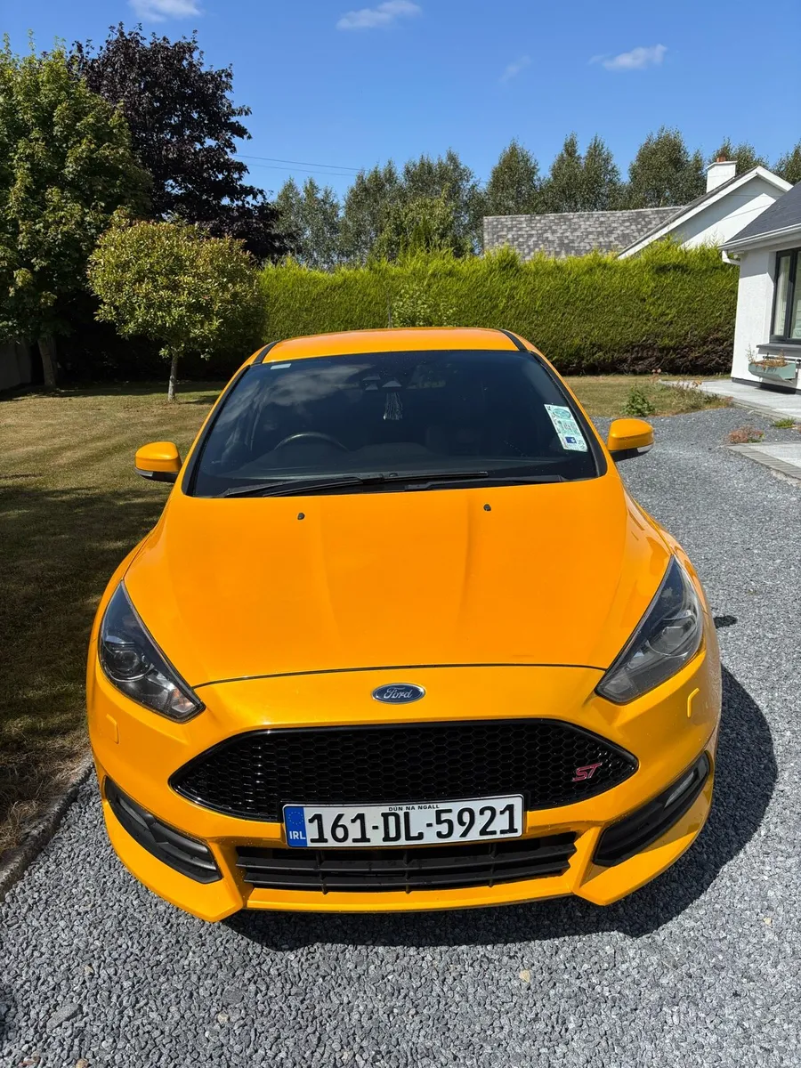 Focus st - Image 1
