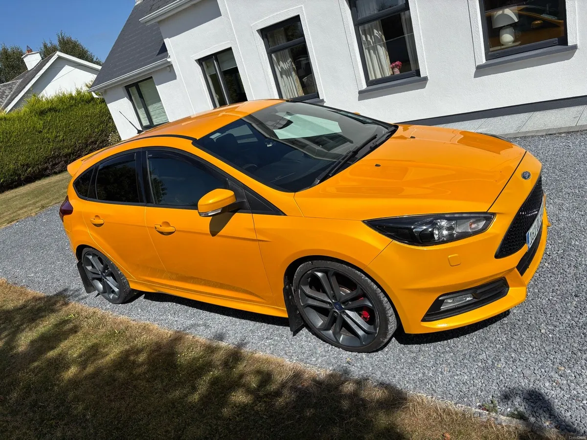 Focus st - Image 4