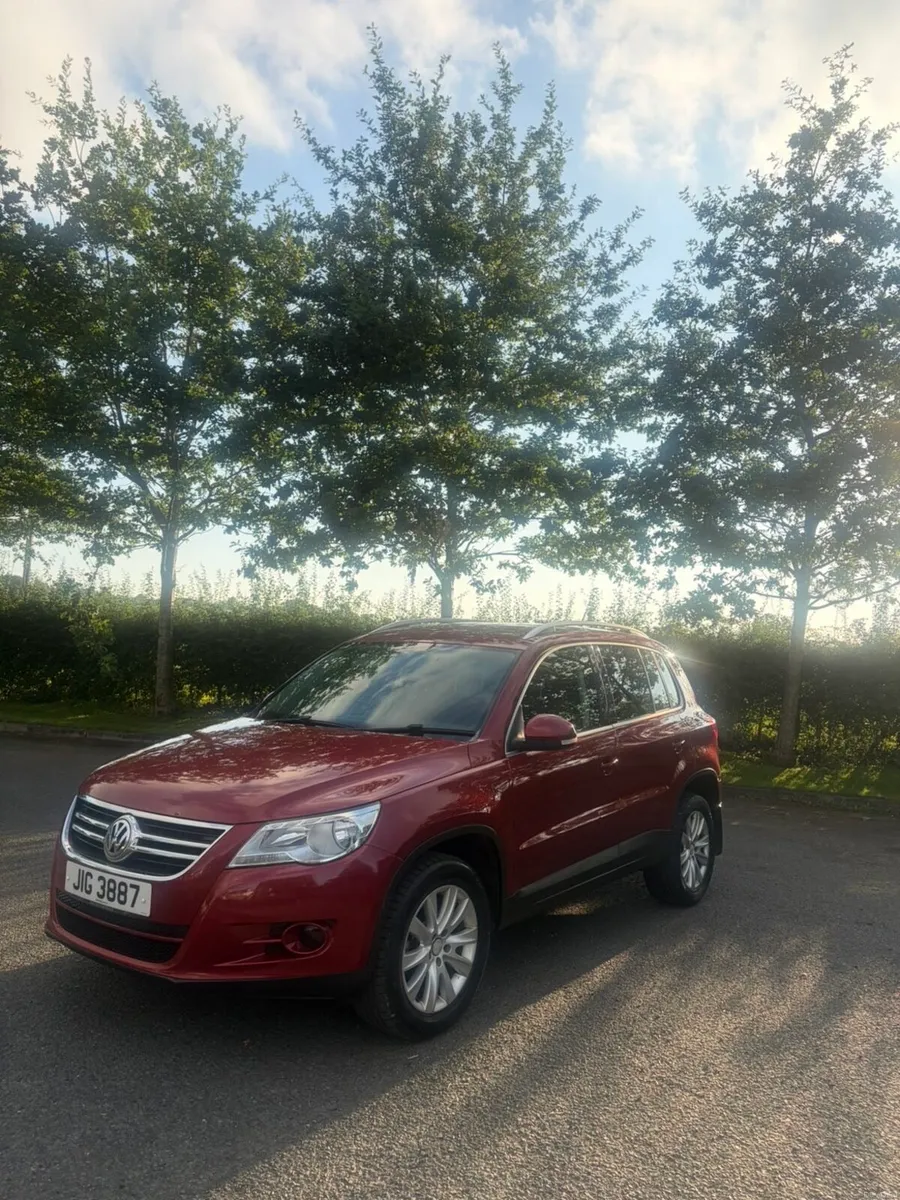 2010 Volkswagen Tiguan - Image 2