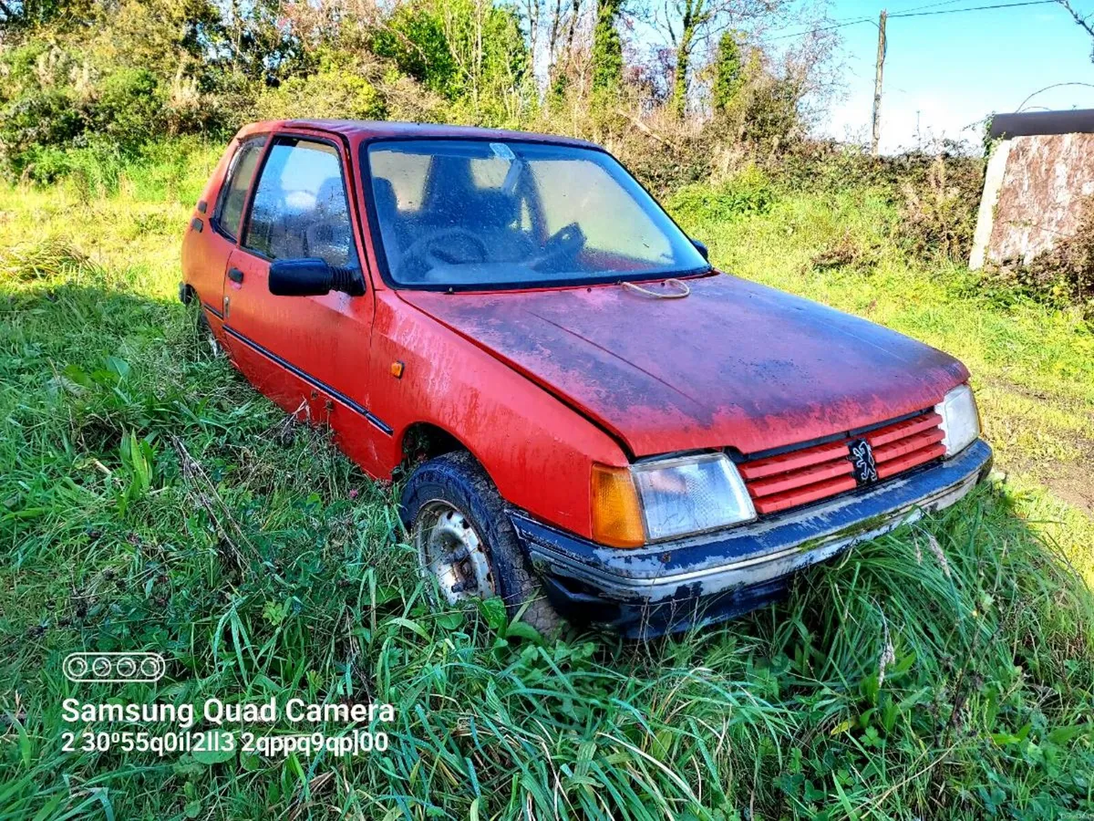 Nissan Primera, Mini, Peugeot 205 - Image 6