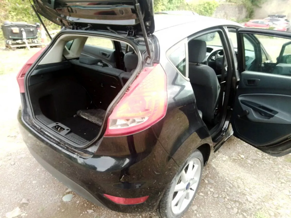 11C fiesta - Image 6