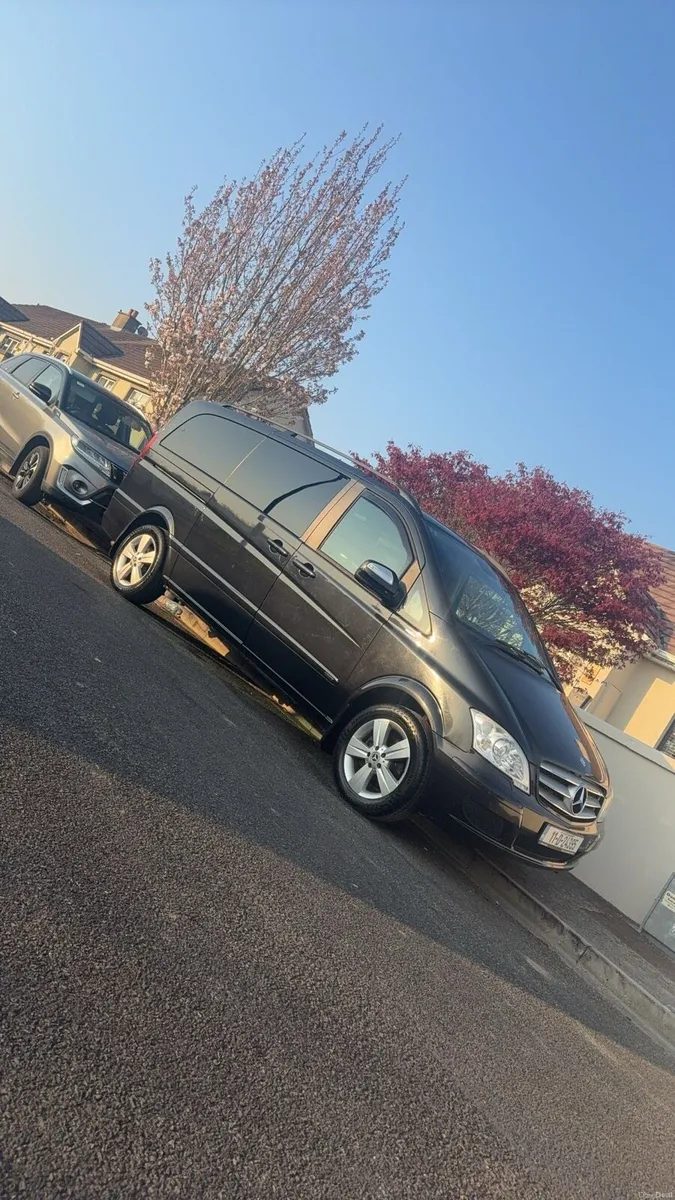 Mercedes Viano - Image 5