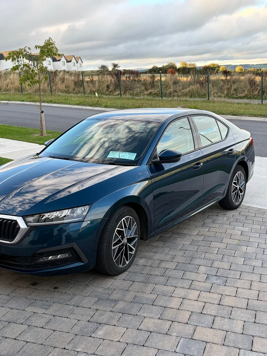 Skoda Octavia 2021 AMB  2.0TDI 115HP - Image 4