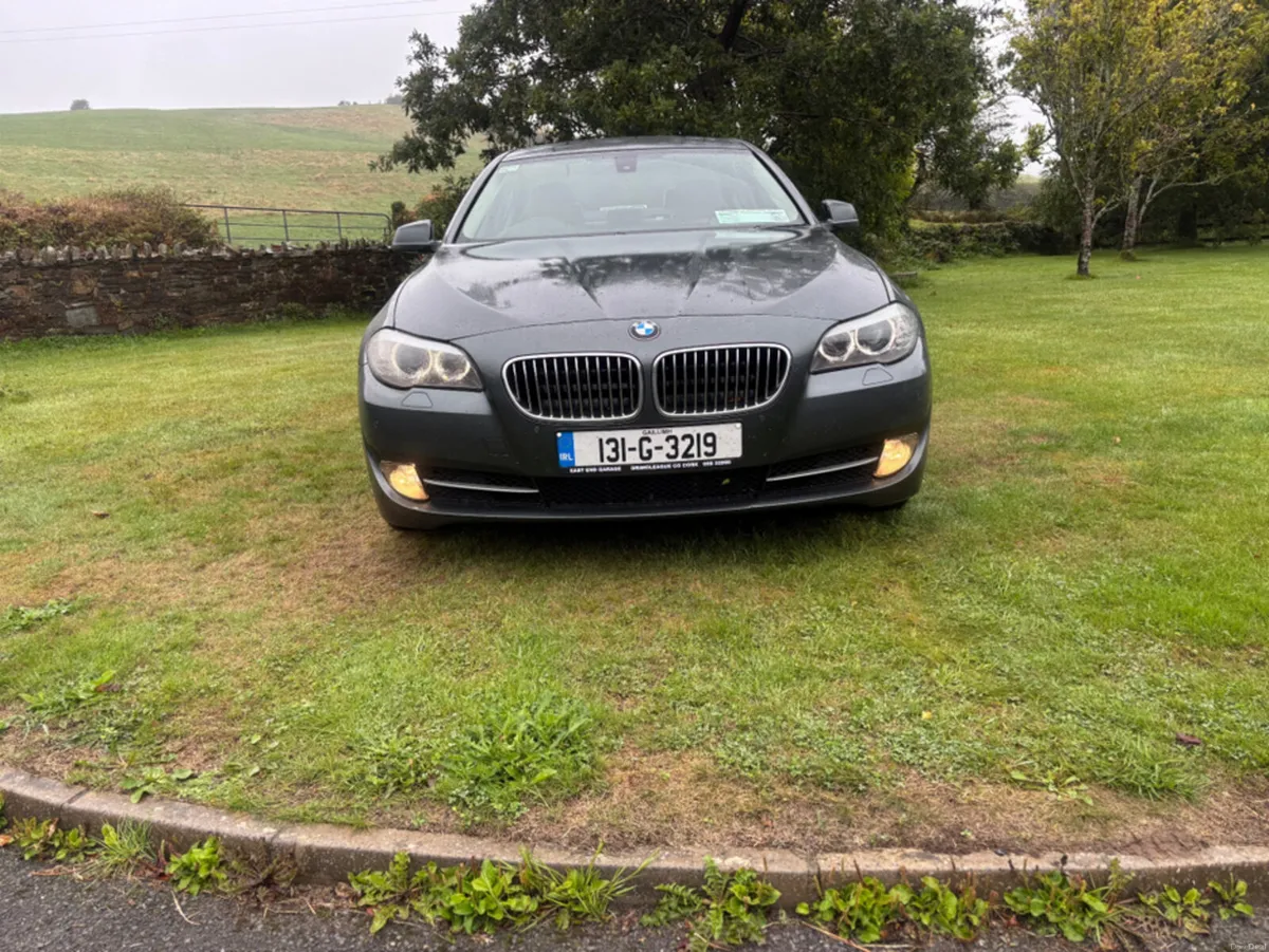 BMW 5-Series D F10 EFFICIENT DYNAMICS 4 4DR - Image 2