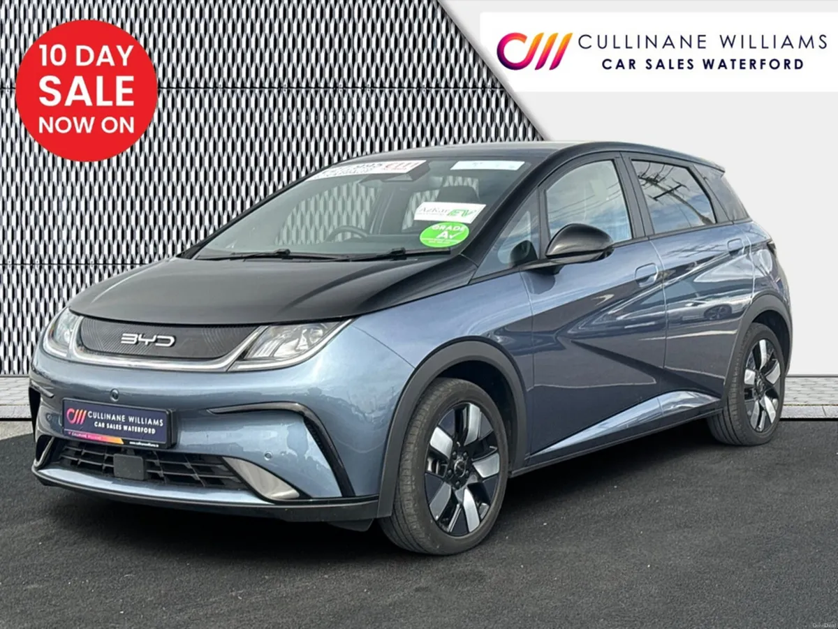 BYD DOLPHIN 2024 DESIGN 60 KWH -LONG RANGE BATTERY - Image 3