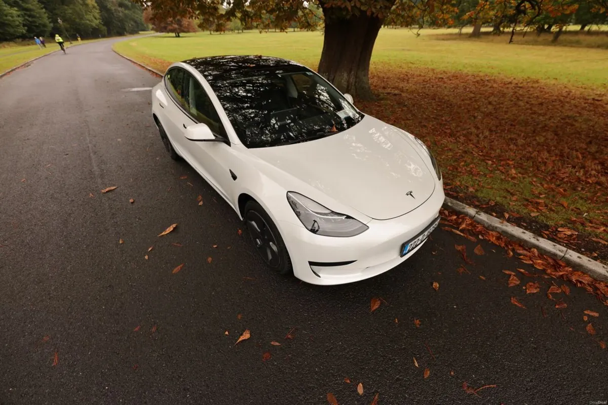 Tesla Model 3 RWD - Image 3