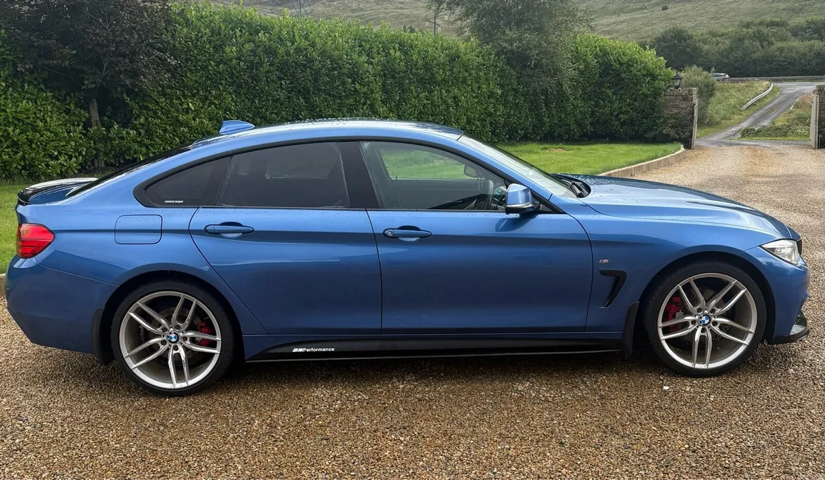 BMW 420d Msport Xdrive Auto - Image 2