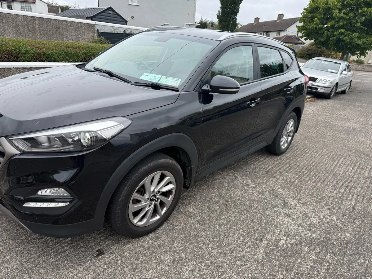 EXECUTIVE NEW NCT 2028 LOW KM - Image 5