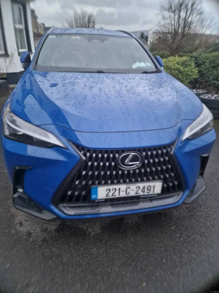 Lexus NX450h+ Plugin Hybrid - Image 5